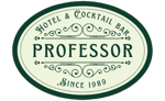 Hotel Professor